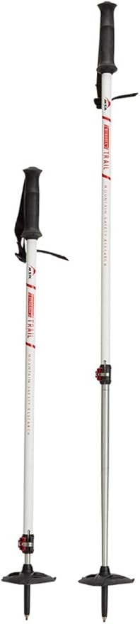 msr hiking poles