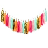 Ling's moment 20 PCS DIY Tissue Paper Tassel