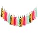 Ling's moment 20 PCS DIY Tissue Paper Tassel Banner, Unassembled Pompom Garland for Wedding, Bachelorette, Baby Shower, Birthday, Fiesta Fringe Party Banner, Home Decorations(Gold,Mint,Pink,Orange)