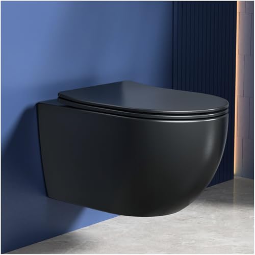 Rainsworth Hänge WC Spülrandlos Einloch Spülung Toilette, Schwarz 48.5cm
