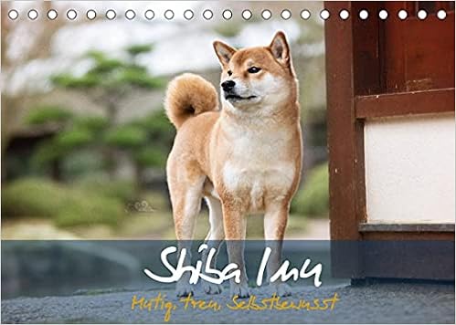 amazon shiba