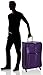 DELSEY PARIS Sky Max Softside Expandable Luggage with Spinner Wheels, Purple, Checked-Large 29 Inch