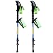 JESBAN 2-Pack Trekking Poles Walking Hiking Sticks for Travel Hiking Climbing