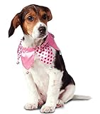 Rubie's Pink Jester Collar Dog Costume