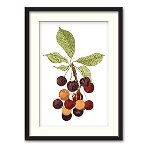 Black Framed Canvas Wall Art Nordic Style Plant Home Artwork Decoration for Living Room, Bedroom - 23x31 inches