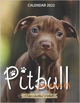 Pit Bull Calendar 2022