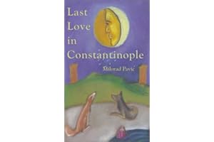 Last Love in Constantinople: A Tarot Novel for Divination