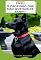 Livro Tefel O cãozinho que não gostava de banho (Aprendendo com os amigos)