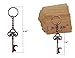 AYAOQIANG 75pcs Wedding Favors Skeleton Key Bottle Opener with Escort Card Tag and Key Chains for Guests Party Favors Rustic Decoration (Bronze 75pcs)…