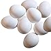 DummyEggs Fake Bird Eggs Stop Laying! Set of 10: Cockatiel, Quaker Parrot, Green Cheek, Lorikeet, Ringneck Dove. White Solid Plastic Realistic 1