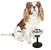 BugSnub Raised Pet Bowl