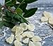 Mastic Mastiha Gum 100% Fresh Natural Tears Of Greek Chios Island (100 gr - 3.52 oz)