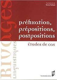Préfixation, prépositions, postpositions