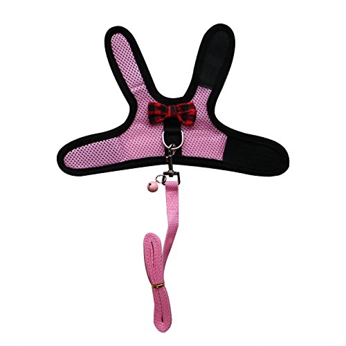 5 RYPET+Guinea+Pig+Harness+Leash