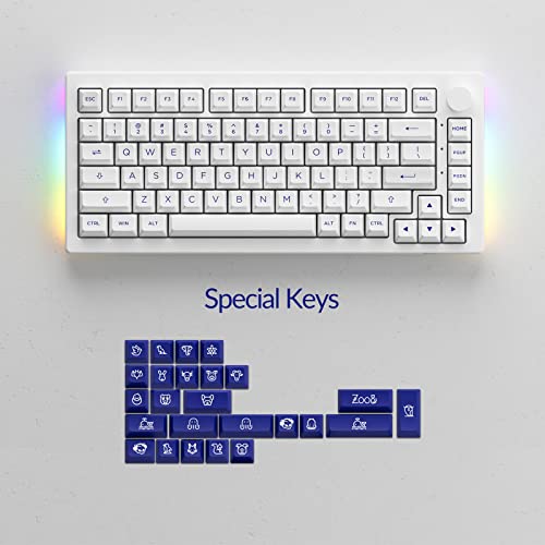 Akko 5075B Plus Mechanical Keyboard 75% Percent RGB Hot