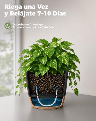 Macetas Autorriego de Interior, Tiesto de Plástico con Base Integrada, Pack de 6 (20/18/17/15/14/13 cm), para Cocina, Balcón, Jardín y Vivero Interior macetas Negro