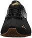 PUMA Women's Tazon 6 Wn Sneaker