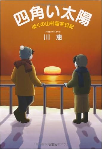 四角い太陽 ぼくの山村留学日記 川 恵 本 通販 Amazon