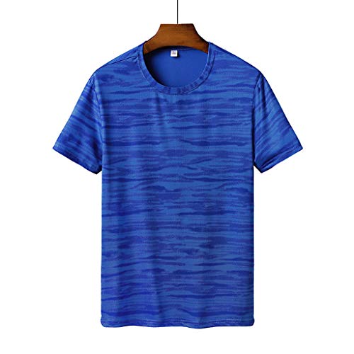 HULKAY Short Sleeve T-Shirts for Menä¸¨Summer Casual Printing Fitness Sport Teesä¸¨Men's Active Athletic Performance Crew T-Shirt(Sky Blue,L)