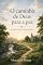 Livro O caminho de Deus para a paz: Descanso para a alma inquieta (Clássicos Pastorais)