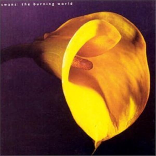 Swans - Cop - Amazon.com Music