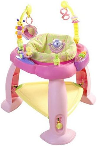 bright starts pretty in pink bouncer