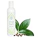 The Wonder Seed Hemp Shampoo - All Natural Organic Formula - Vegan Friendly Blend - Best Solution for Dry Itchy Scalp/Dandruff/Oily Hair & More - Proudly Cruelty Free (Green Tea) 8oz