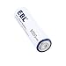 EBL AA Batteries 1.5 Volt Lithium Metal (Non-Rechargeable) AA Battery, 8 Pieces