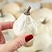 Factory Direct Craft Set of 12 Assorted Size Harvest White Faux Gourds and Pumpkins for Halloween, Fall and Thanksgiving Decorating