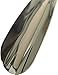 JC Cole Est 1980 Metal Shoe Horn 8 in - Made in the USA - Nickel