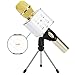 CrazyFire Wireless Karaoke Microphone,Bluetooth Handheld Karaoke Speakers Portable KTV Cellphone Microphone Voice Speaker with 2600mAh Battery for iPhone iPad iPod Android Phone