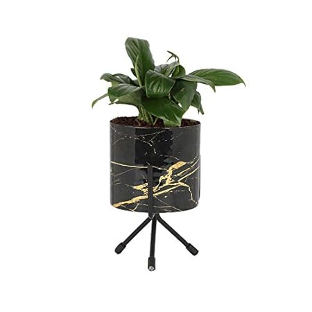 Ferns N Petals Peace Lily Plant In Black Metal Pot With Stand 4.5 x 4 Inches | Indoor Plant
