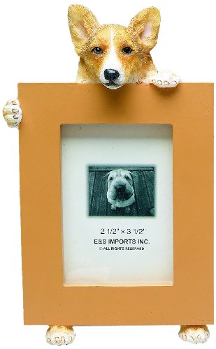 Welsh Corgi Picture Frame Holds Your Favorite 2.5 by 3.5 Inch Photo, Hand Painted Realistic Looking Welsh Corgi Stands 6 Inches Tall Holding Beautifully Crafted Frame, Unique and Special Welsh Corgi Gifts for Welsh Corgi Owners
