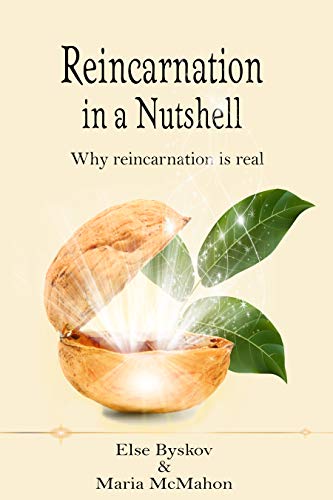 Reincarnation in a Nutshell: Why Reincarnation is real (Spiritualnutshell series Book 1) by Else Byskov