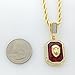 Exo Jewel Lion Ruby CZ Diamond Octagon Pendant Necklace with 24 Inch Stainless Steel Rope Chain (Gold)