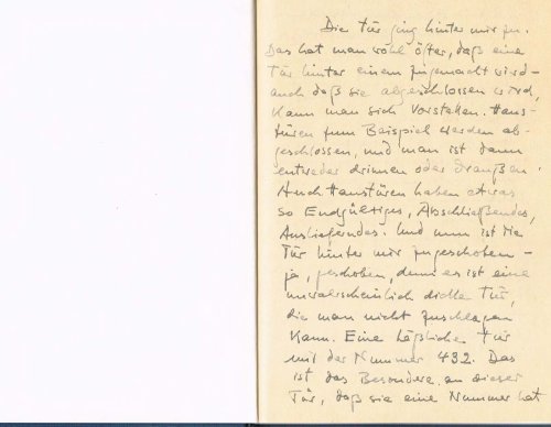 Die Hundeblume / Nachts schlafen die Ratten doch.