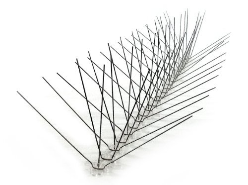 Bird-X Extra Wide Stainless Steel Bird Spikes, Covers 10 feet