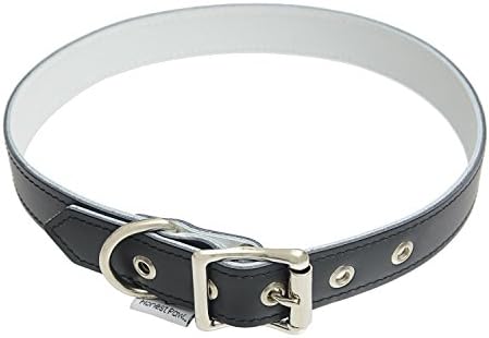 Genuine Leather Designer Dog Collar by Honest Paw - Black - Size 22"-26" - 1" Width