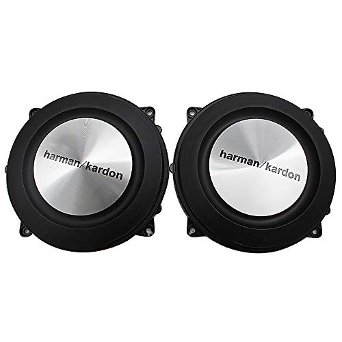 4 inch 120mm bass radiator passive speaker