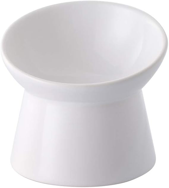 HCHLQLZ White Small ceramic Raised Cat Bowls, Tilted Elevated Food or