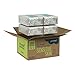 Seventh Generation Baby Diapers for Sensitive Skin, Animal Prints, Size 1, 160 count (Packaging May Vary)