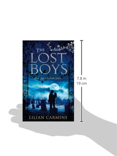 The Lost Boys 1 Carmine Lilian 9780091953416 Amazon Com Books