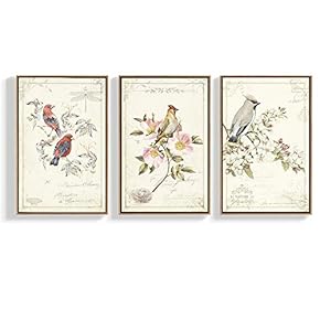 3 Piece Canvas Wall Art for Living Room, Bedroom Bird Framed Canvas Prints for Home Decoration Ready to Hang - 16"x24"x3 Panels