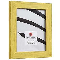 Craig Frames Jasper Picture Frame, 20 x 30