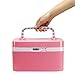Locking Medicine Cabinet, EVERTOP Household First Aid Kit Locking Prescription Pill Case Storage Box with Compartments for Jewelry Cosmetics Cards Essential Oils Arts Crafts Medical Supplies, Pink