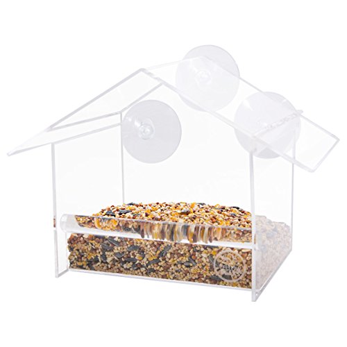 Window Bird Feeder By Yellow Beaks The Best Clear Acrylic