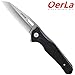 Oerla TAC Folding Knife Ball Bearing Quick-Open Assist Folding Camping Hunting EDC Knife - Paladin Series - 8Cr15Mov Blade - Cold Treated Steel - 3.8