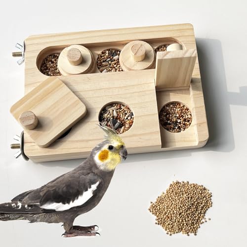 FlidRunest Wooden Foraging Puzzle