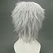 BERON Cool Men Short Straight Cosplay Costume Party Funny Wigs (Silvery White)