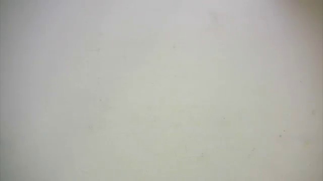 4 Perler+Beads+Kit+Parade+Pieces